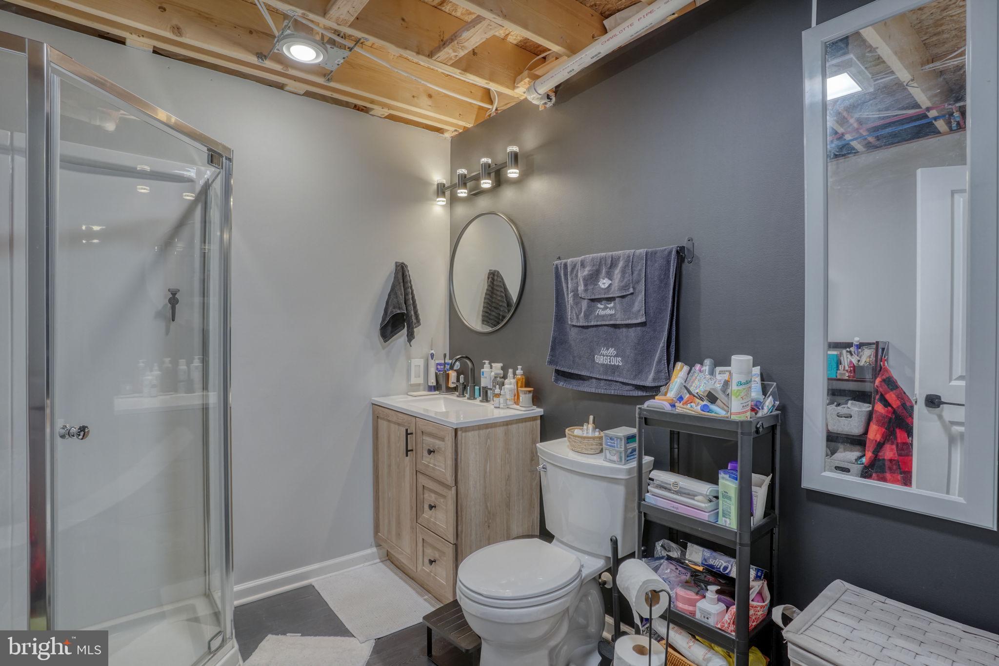 5 Olive Way Elkton, MD 21921 - Photo 27 of 33 Basement Area