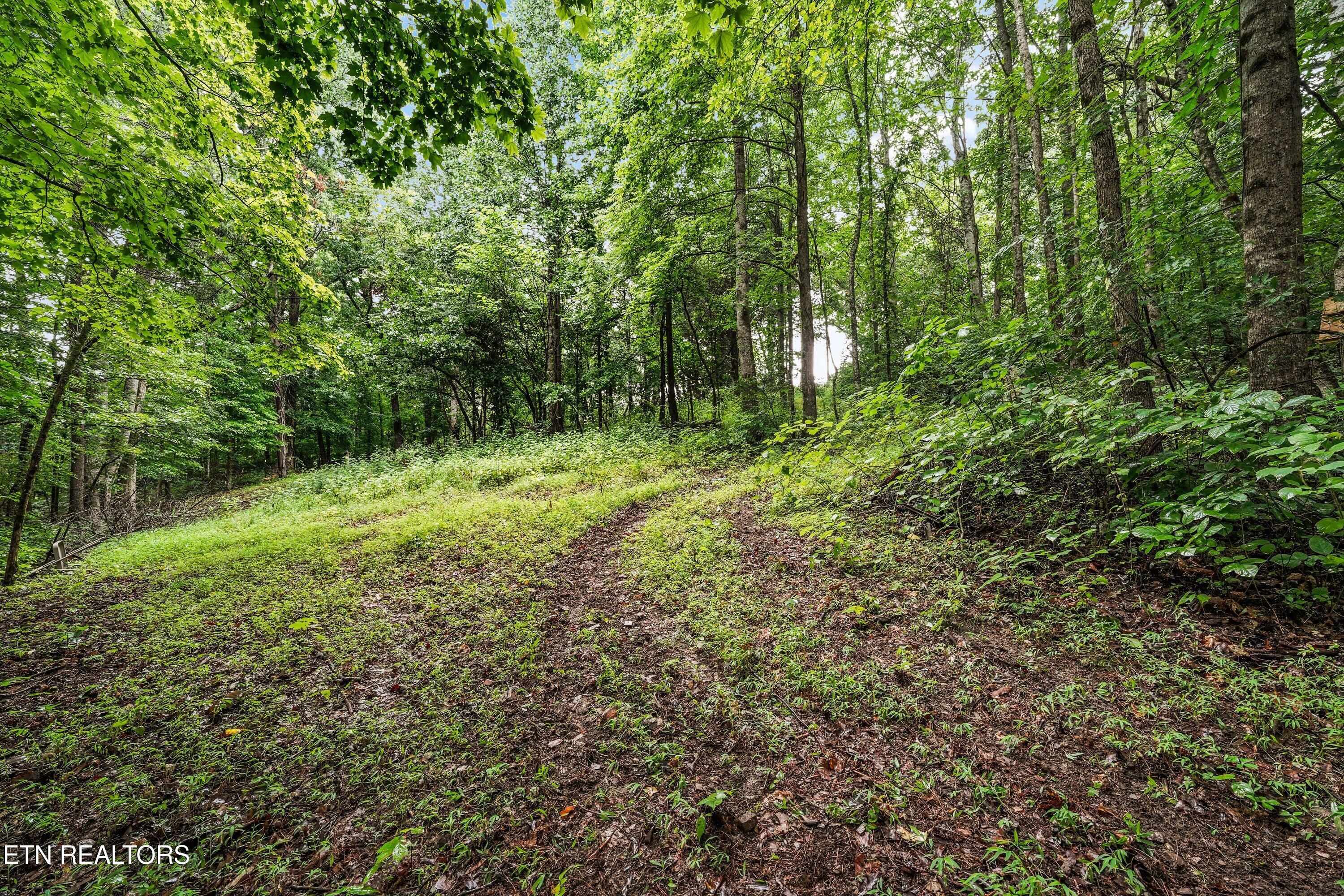 119 Springhouse Road Powell, TN 37849 - Photo 10 of 48 Back Trails