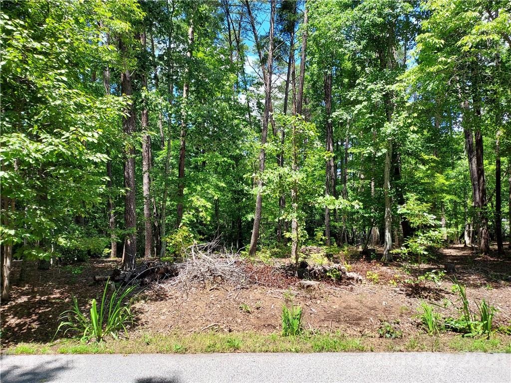 2.54 Acres Club Road Tryon, NC 28782 - Photo 1 of 18 front view of a house with a yard