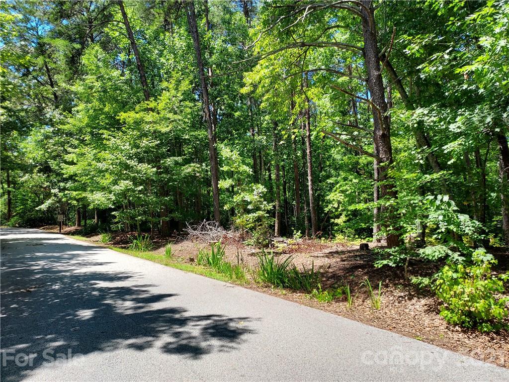 2.54 Acres Club Road Tryon, NC 28782 - Photo 2 of 18