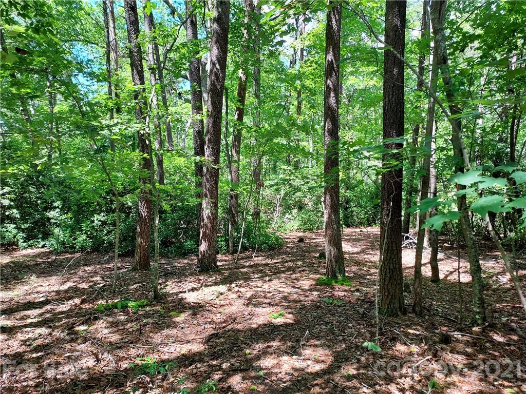 2.54 Acres Club Road Tryon, NC 28782 - Photo 11 of 18 a view of outdoor space and trees
