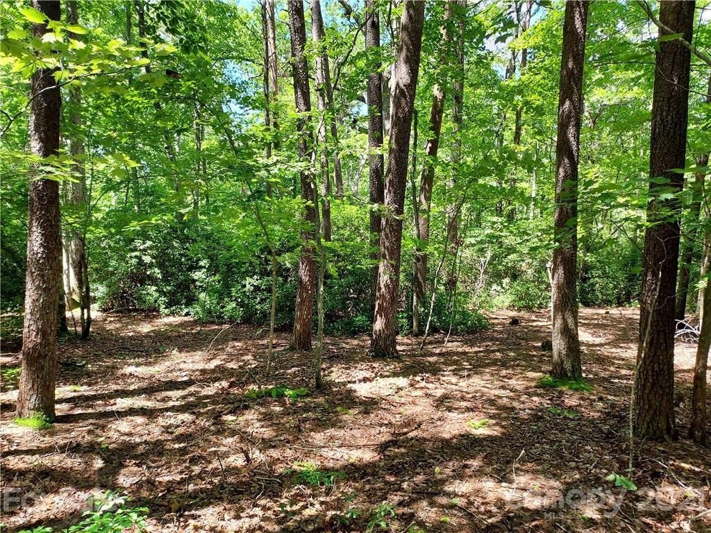 2.54 Acres Club Road Tryon, NC 28782 - Photo 12 of 18 a view of a forest with trees in the background