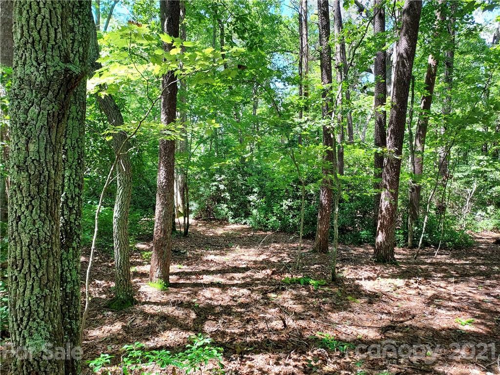 2.54 Acres Club Road Tryon, NC 28782 - Photo 13 of 18 a backyard of a house with lots of green space