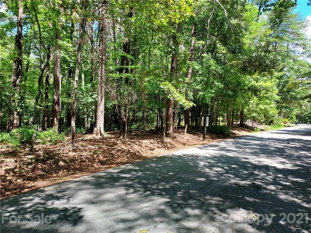 2.54 Acres Club Road Tryon, NC 28782 - Photo 15 of 18 a view of a yard with plants and trees