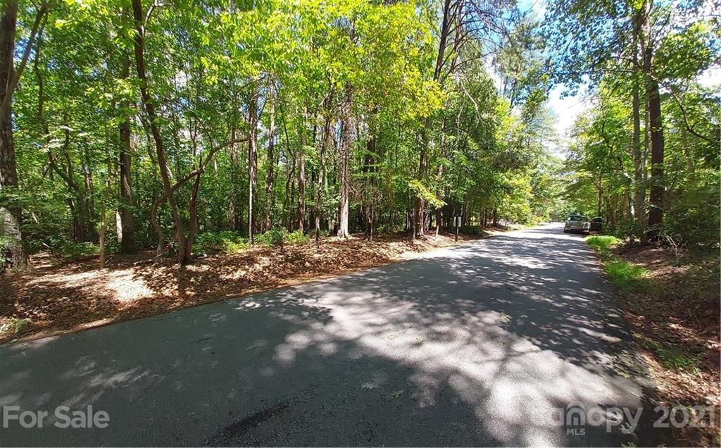 2.54 Acres Club Road Tryon, NC 28782 - Photo 17 of 18 a view of outdoor space and yard