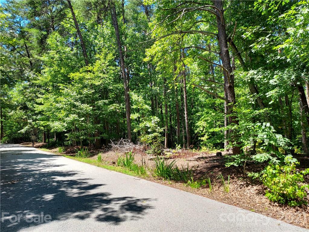 2.54 Acres Club Road Tryon, NC 28782 - Photo 3 of 18 a view of outdoor space and yard