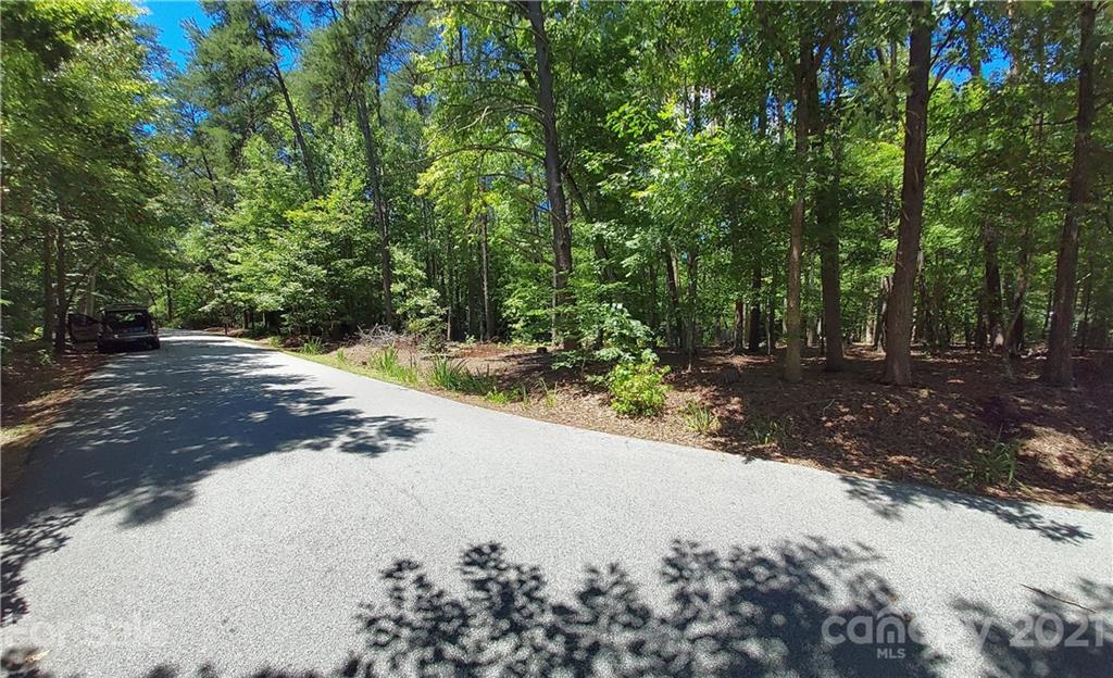 2.54 Acres Club Road Tryon, NC 28782 - Photo 4 of 18 a view of a road with a trees
