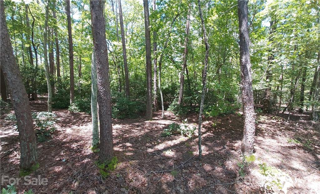 2.54 Acres Club Road Tryon, NC 28782 - Photo 6 of 18 a view of a forest with trees in the background