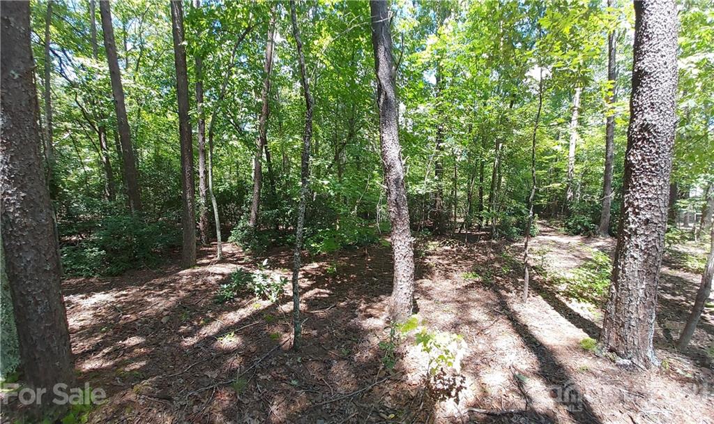 2.54 Acres Club Road Tryon, NC 28782 - Photo 7 of 18 a view of a forest with trees