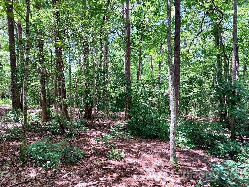 2.54 Acres Club Road Tryon, NC 28782 - Photo 10 of 18 a view of a forest with trees