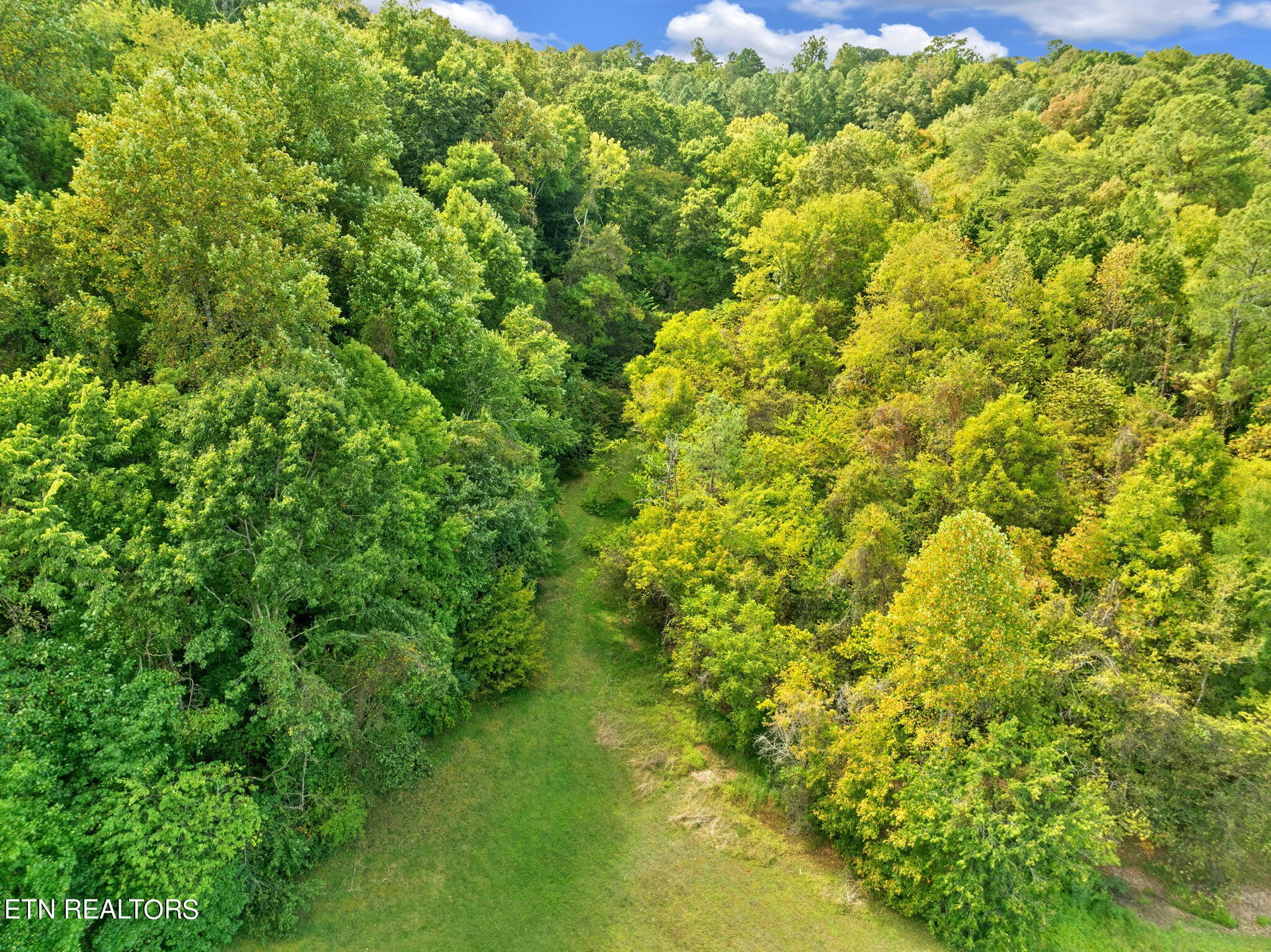 1455 Hill Road Newport, TN 37821 - Photo 35 of 43
