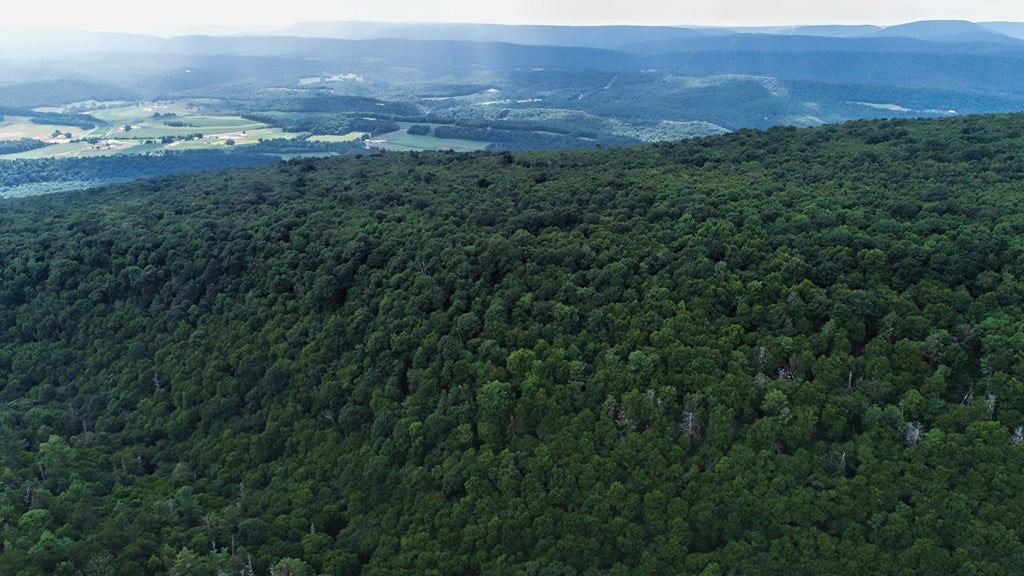20298 Laurel Mountain Road Mapleton Depot, PA 17052 - Photo 35 of 59 Gallery Image 35