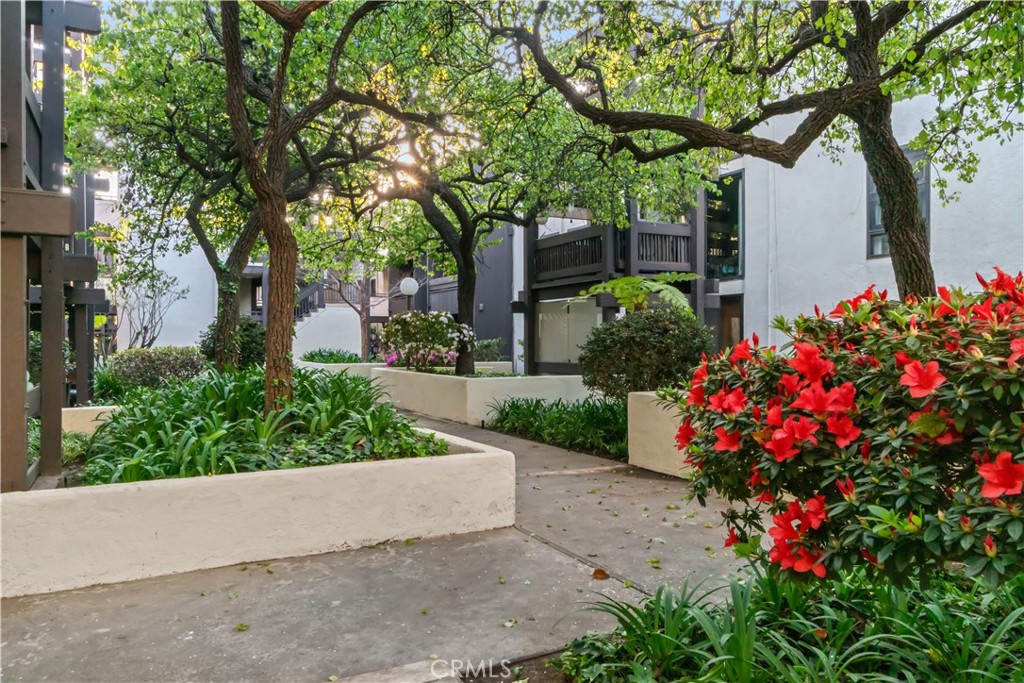 8650 Gulana Avenue Playa del Rey, CA 90293 - Photo 33 of 46 a view of a garden with flowers and trees