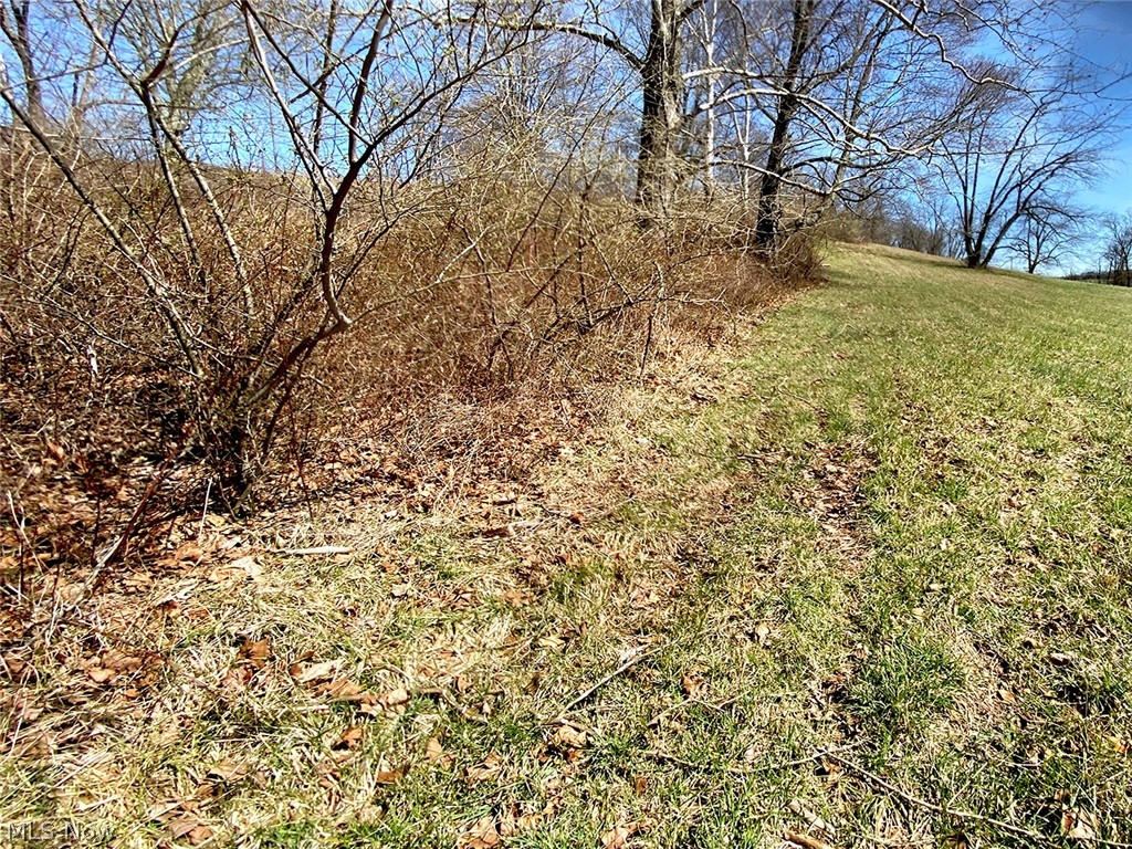 0 Township Road Coshocton, OH 43812 - Photo 3 of 24