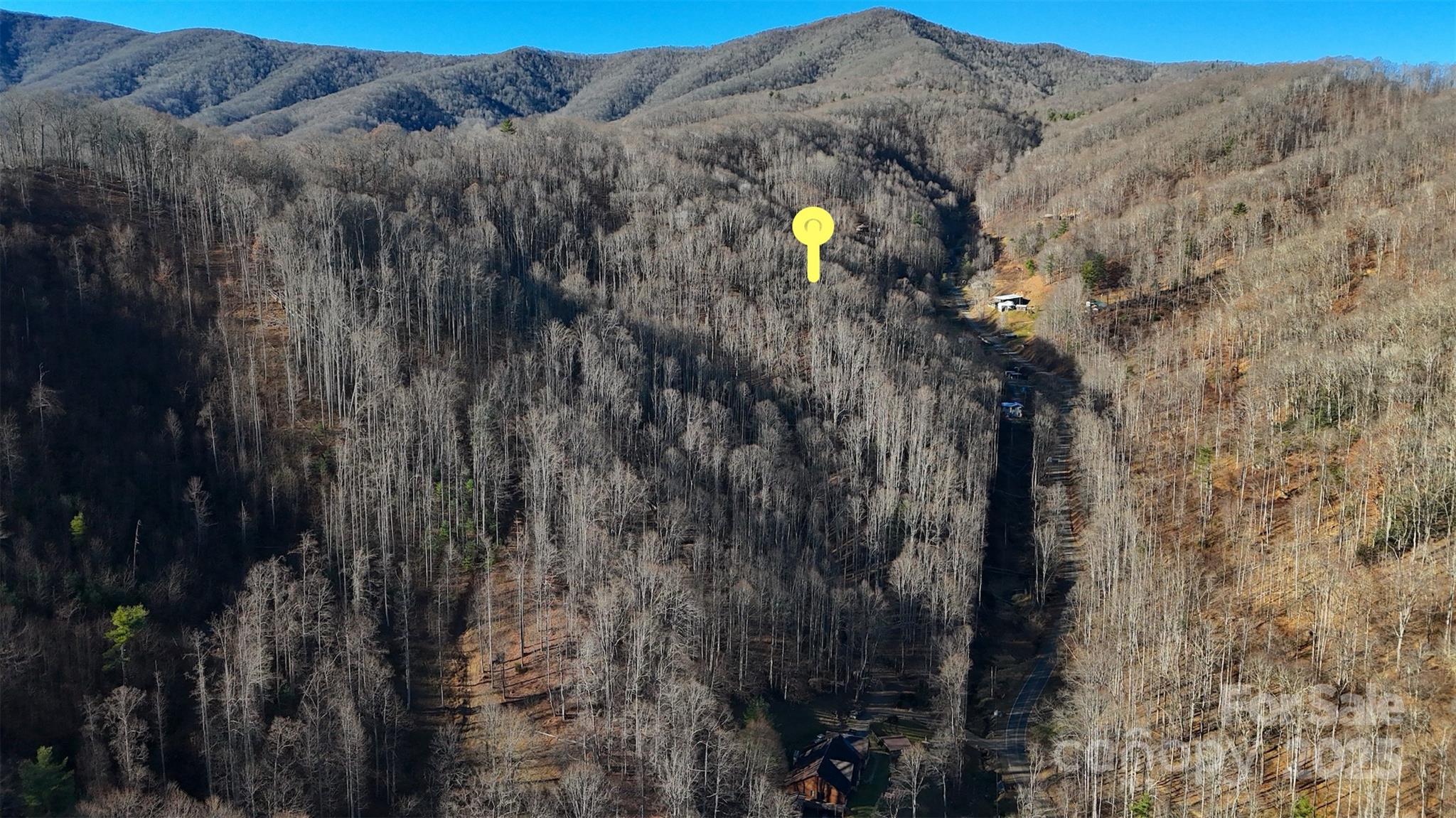 15-acres Riddle Br Road Burnsville, NC 28714 - Photo 13 of 38 a view of a forest