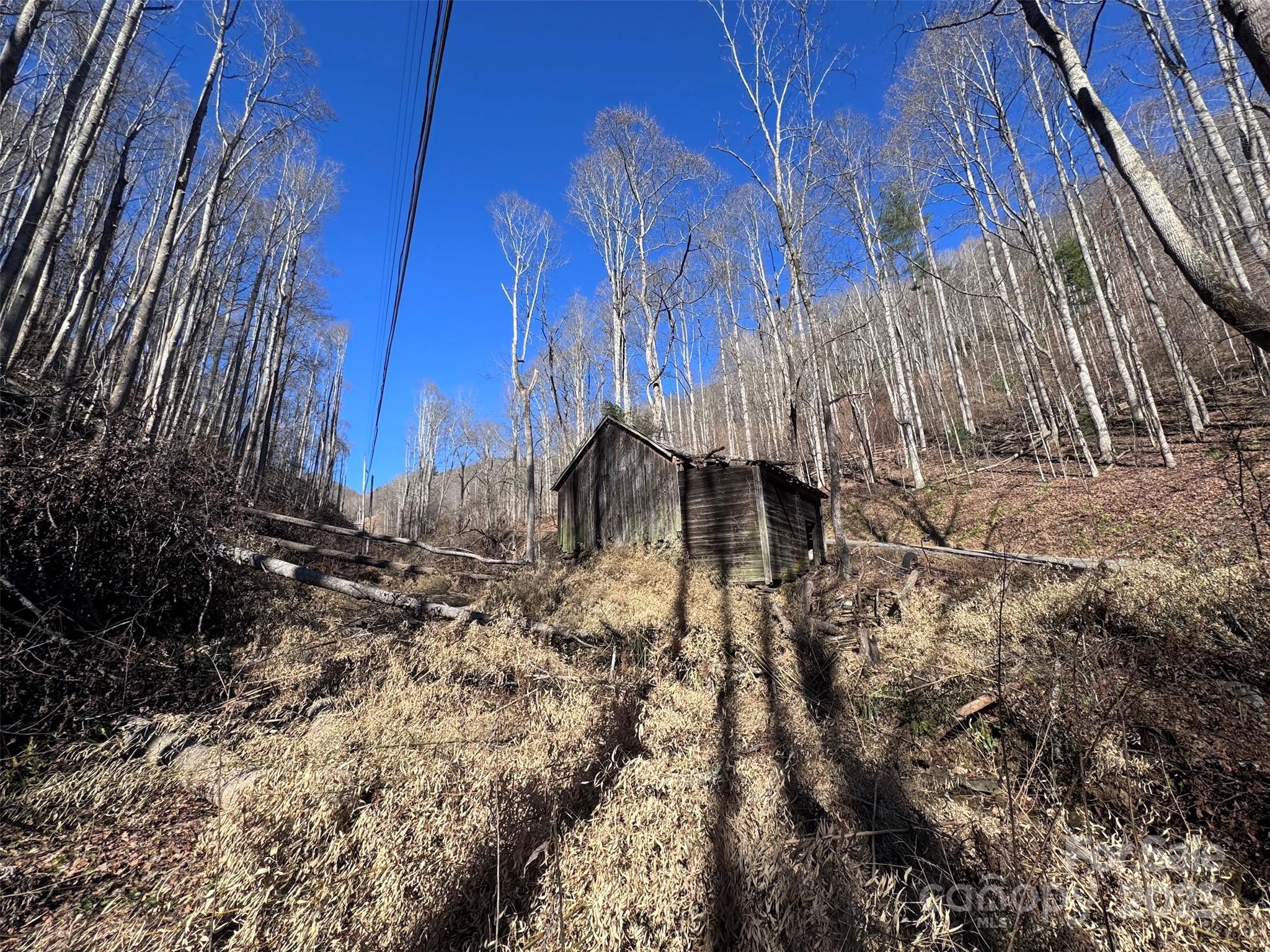 15-acres Riddle Br Road Burnsville, NC 28714 - Photo 18 of 38 a view of a backyard