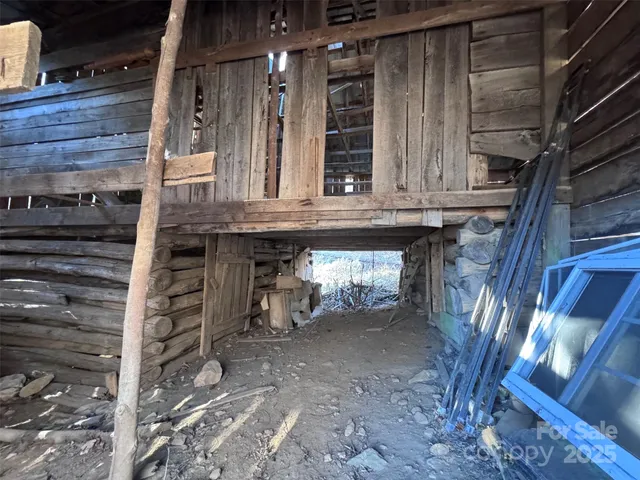 a close up of a tree