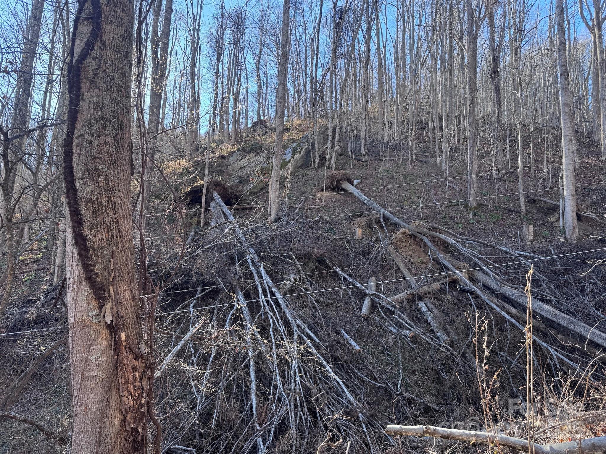 15-acres Riddle Br Road Burnsville, NC 28714 - Photo 22 of 38 a backyard of a house with table and chairs