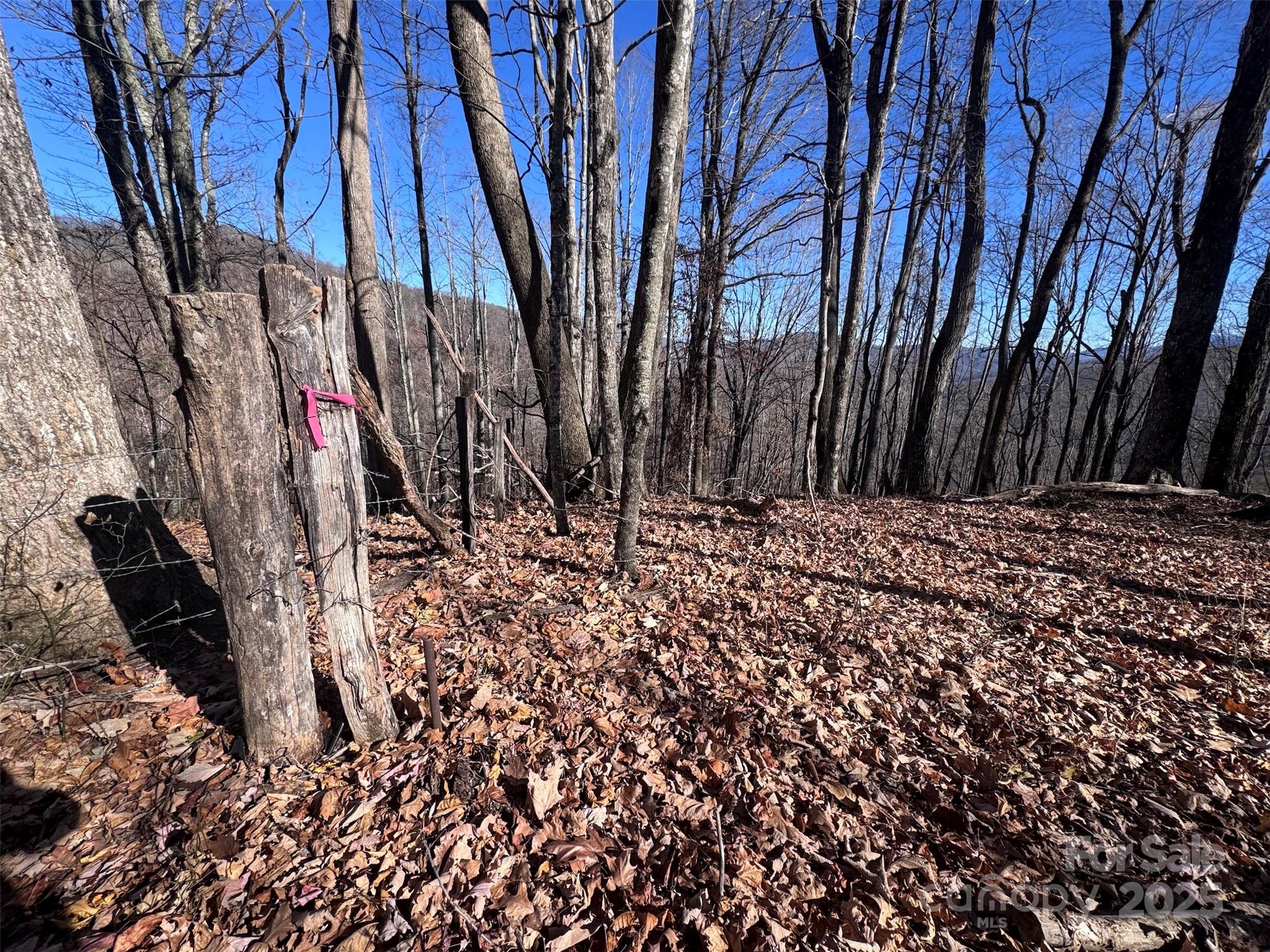 15-acres Riddle Br Road Burnsville, NC 28714 - Photo 24 of 38