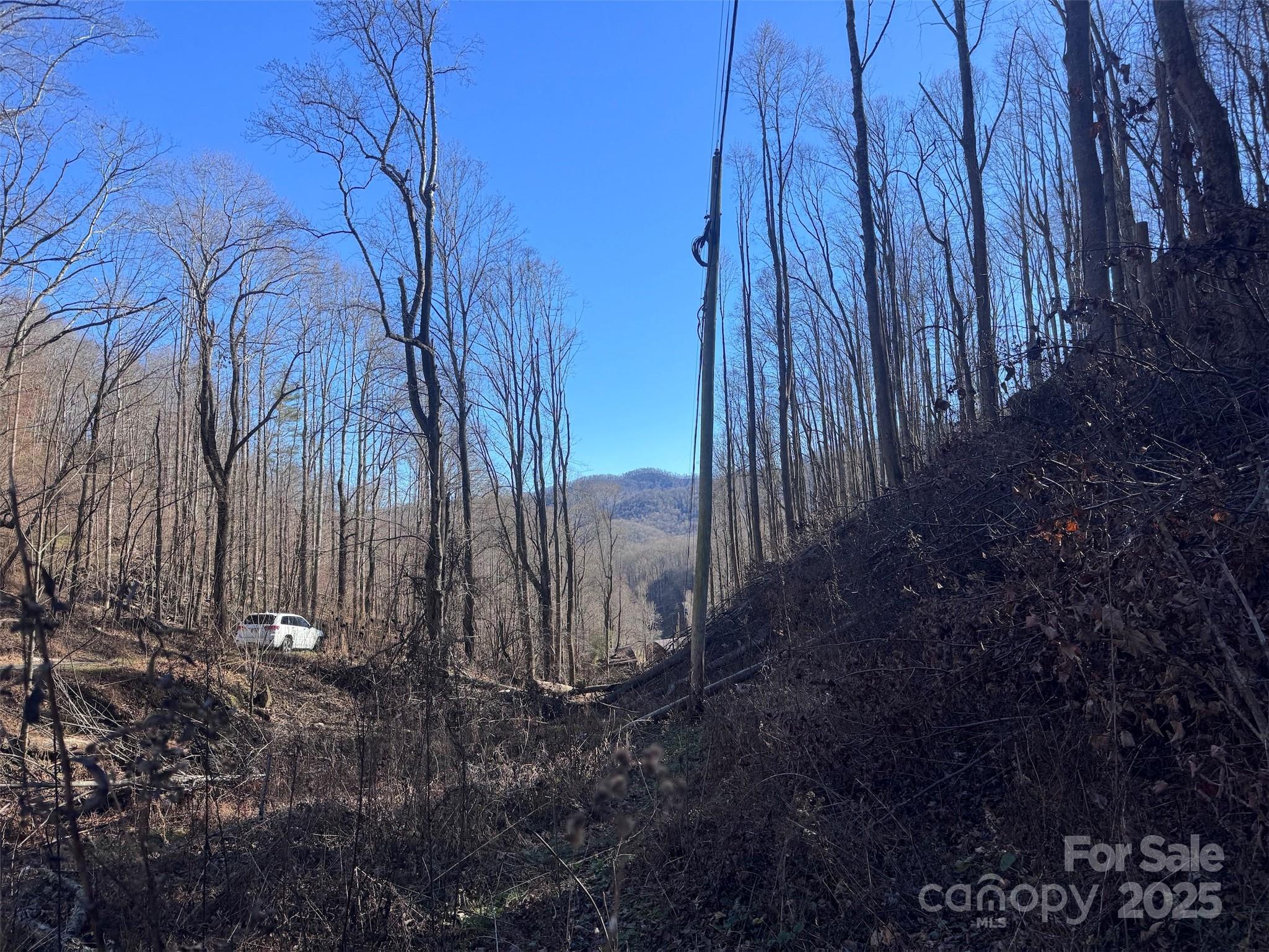 15-acres Riddle Br Road Burnsville, NC 28714 - Photo 29 of 38 a view of a backyard