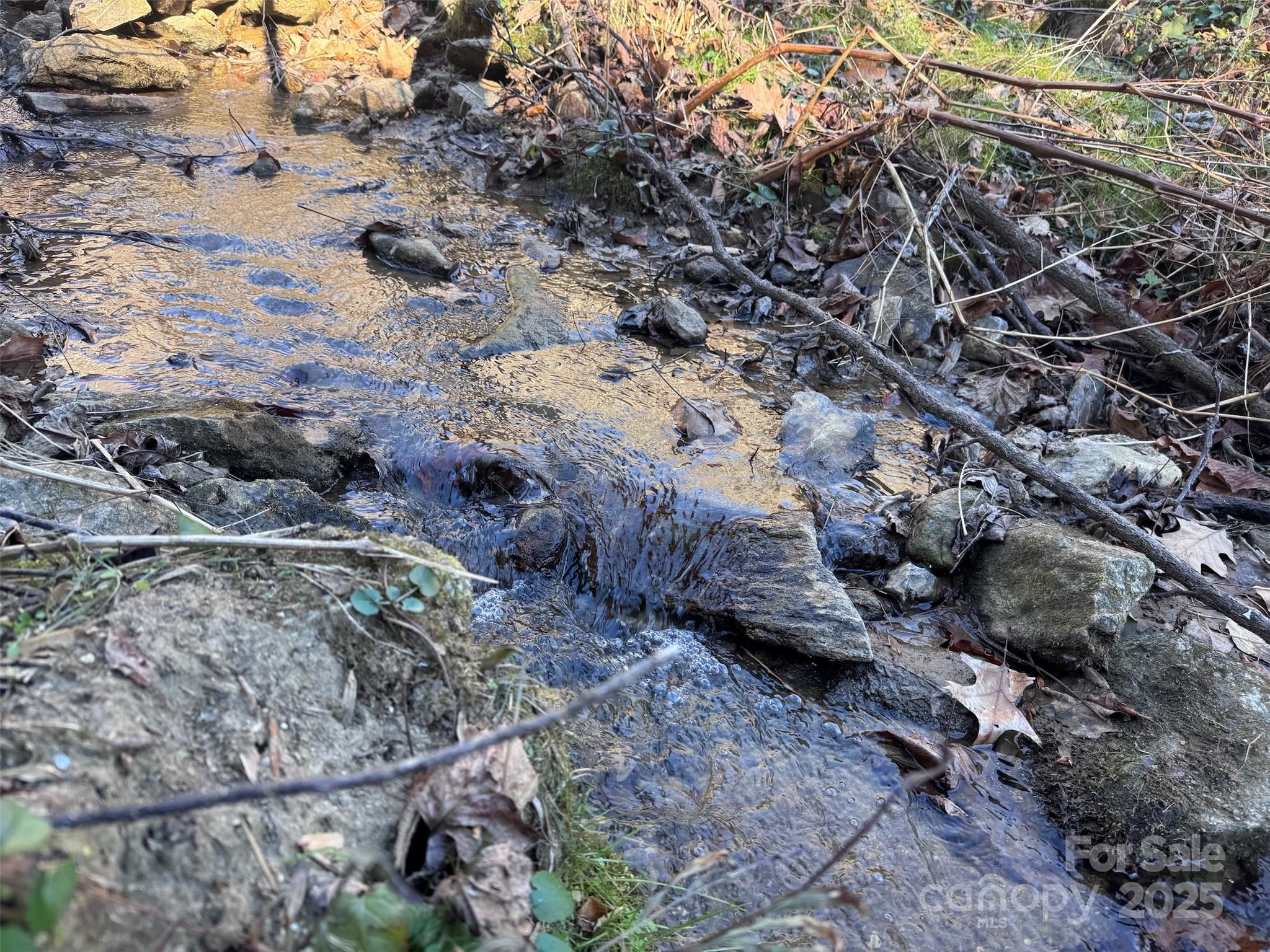 15-acres Riddle Br Road Burnsville, NC 28714 - Photo 3 of 38 a view of a dry yard with lots of trees