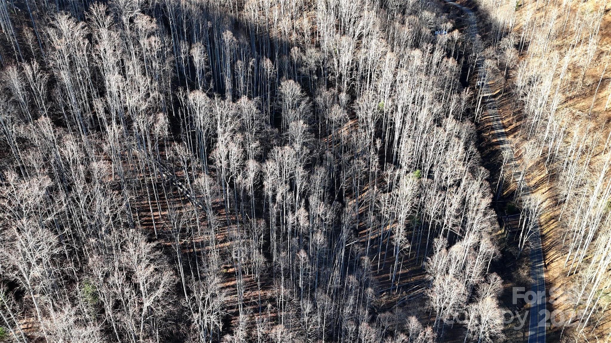 15-acres Riddle Br Road Burnsville, NC 28714 - Photo 33 of 38 a view of building