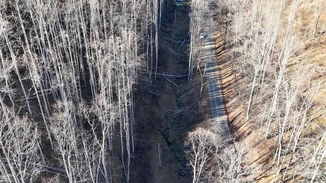 a view of a mountain in a field