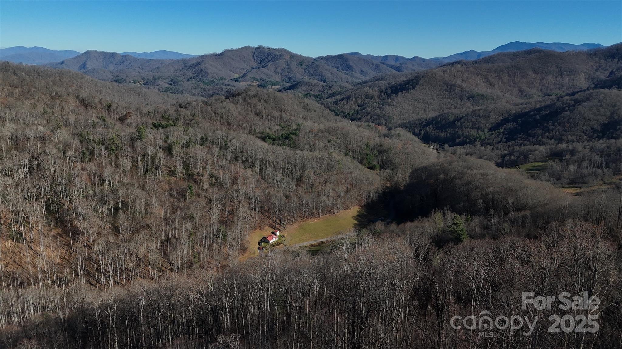 15-acres Riddle Br Road Burnsville, NC 28714 - Photo 38 of 38 a view of a mountain in a field