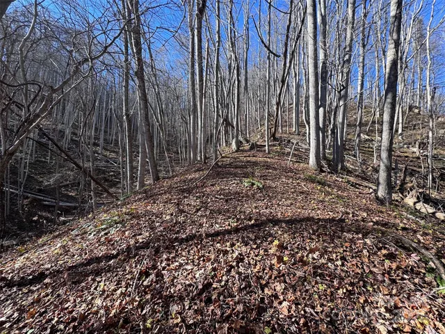 a view of a backyard with pathway