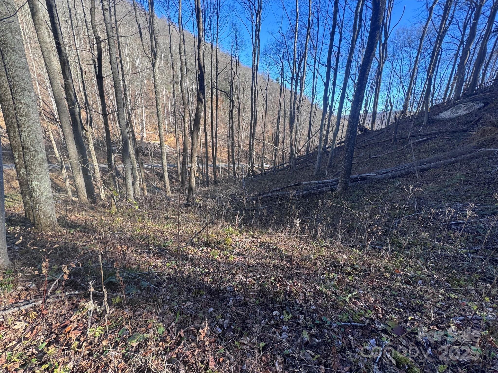 15-acres Riddle Br Road Burnsville, NC 28714 - Photo 9 of 38 a view of backyard with green space