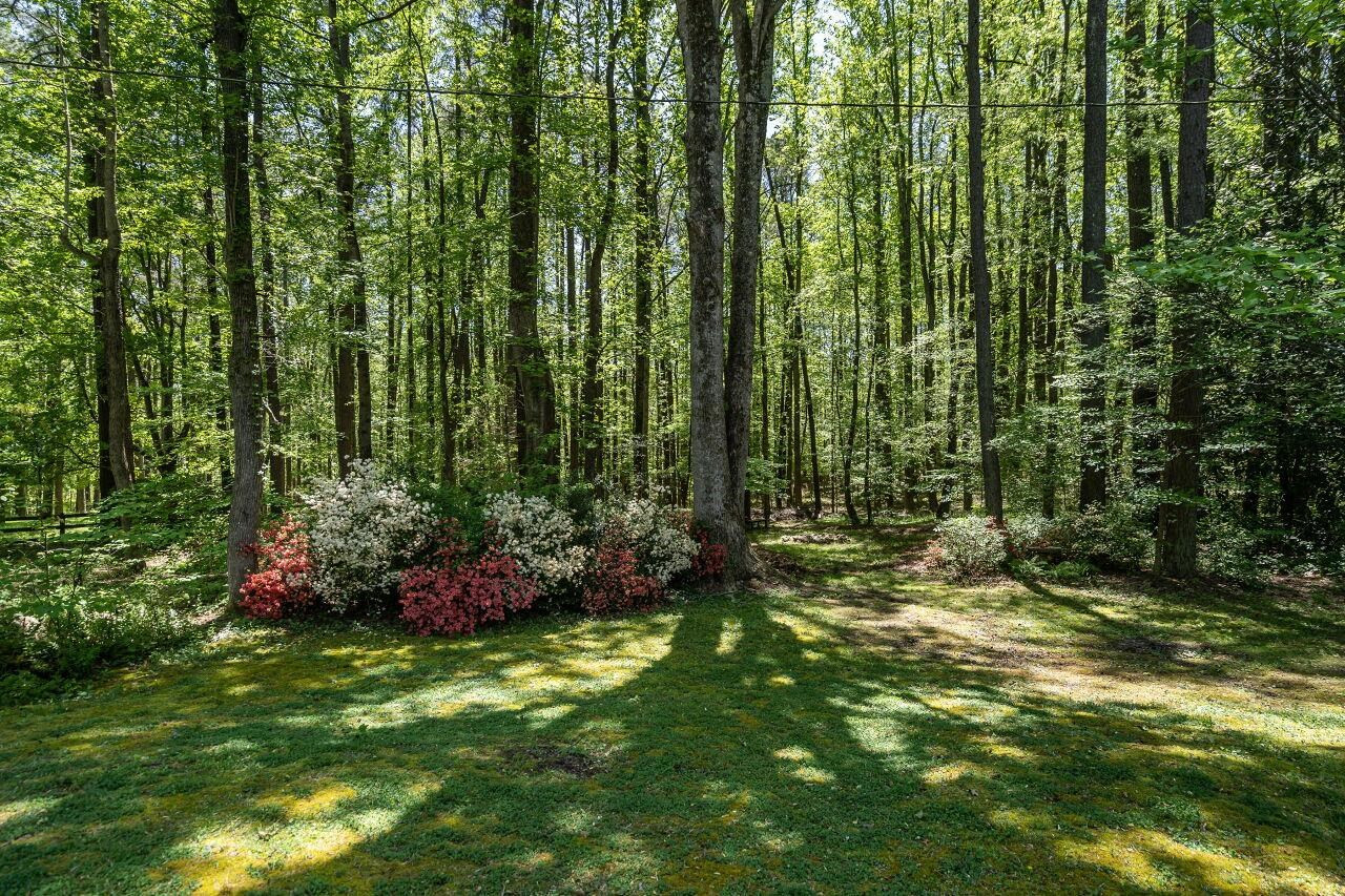 535 Dyking Road Louisburg, NC 27549 - Photo 26 of 34 Photo 26