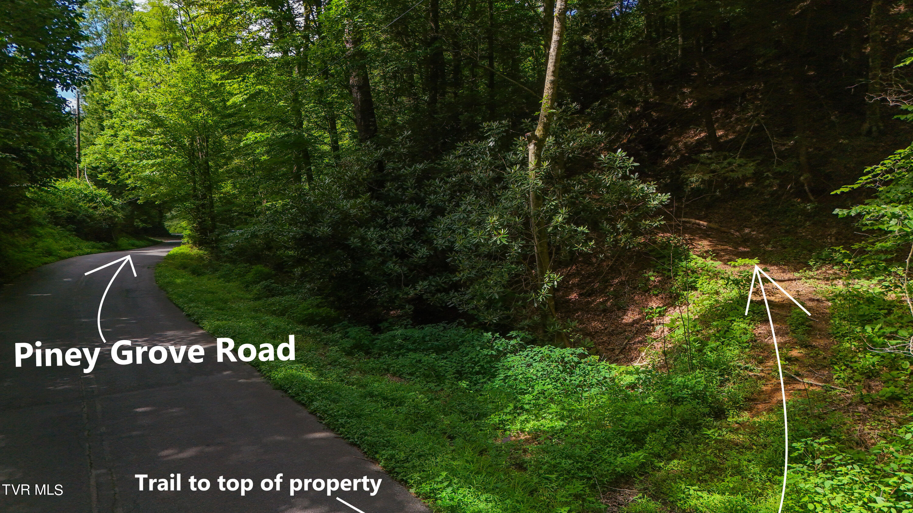 Tbd Piney Grove Road, Unit 8 Unicoi, TN 37692 - Photo 1 of 16 DJI_20240711110510_0869_D