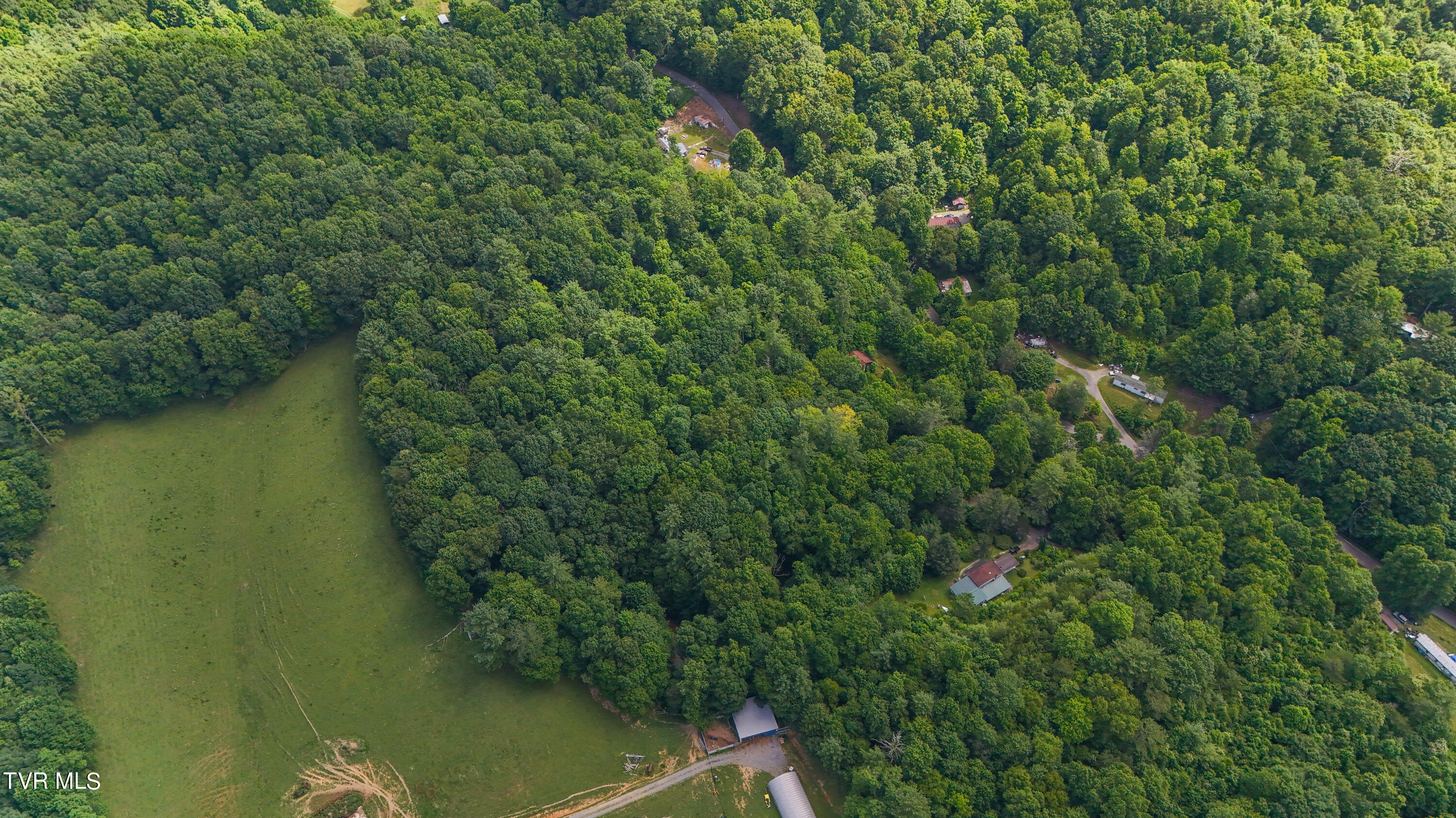 Tbd Piney Grove Road, Unit 8 Unicoi, TN 37692 - Photo 15 of 16 DJI_20240711111214_0877_D-2