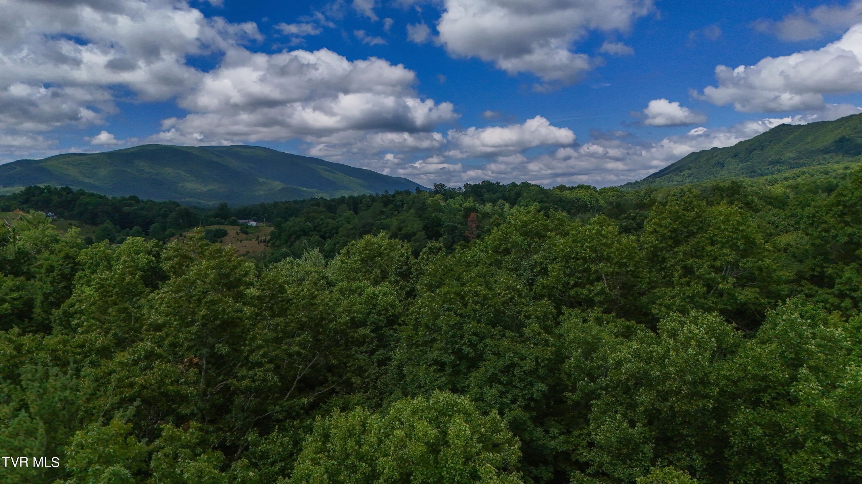 Tbd Piney Grove Road, Unit 8 Unicoi, TN 37692 - Photo 16 of 16 DJI_20240711111336_0878_D