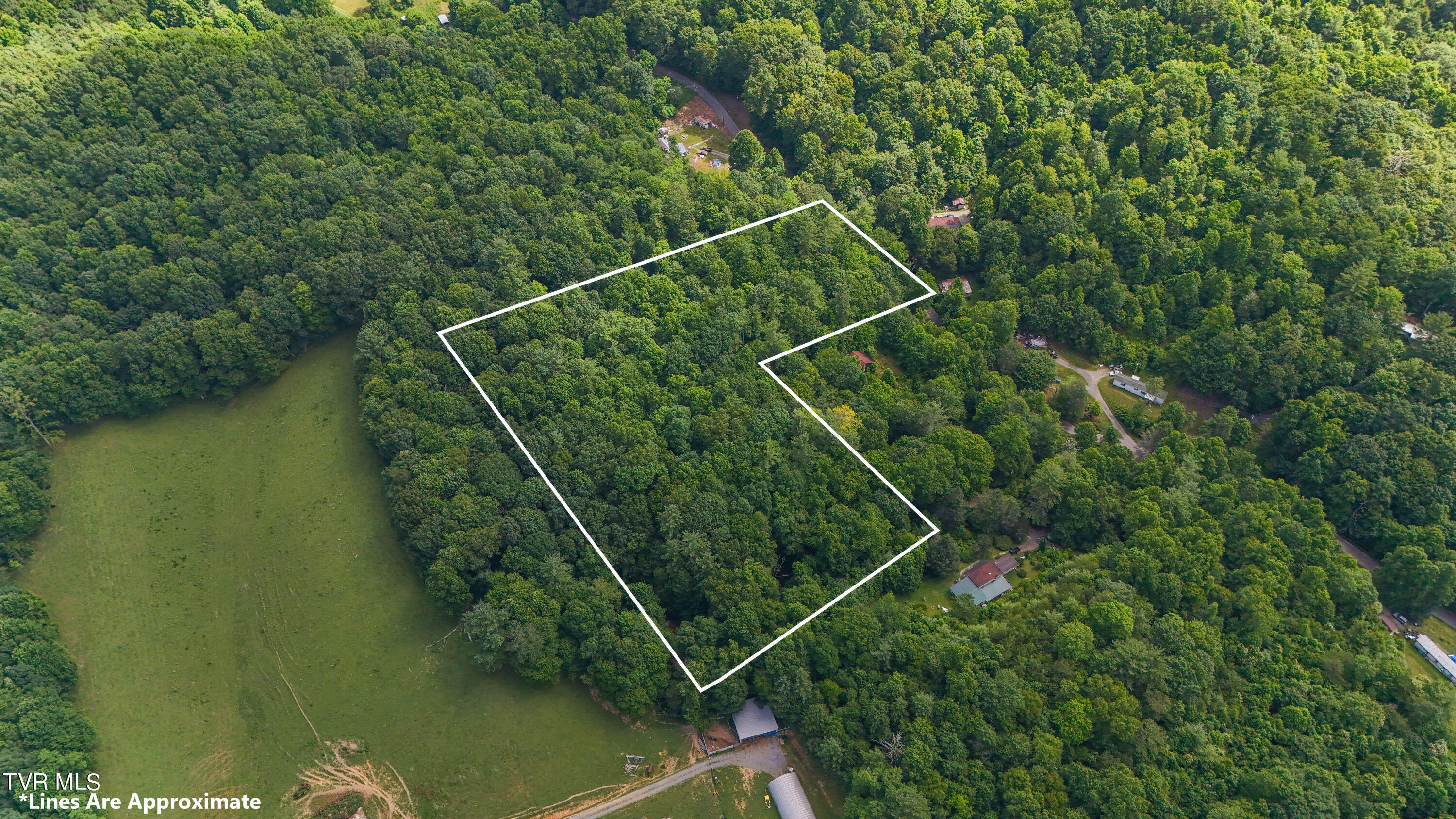 Tbd Piney Grove Road, Unit 8 Unicoi, TN 37692 - Photo 3 of 16 DJI_20240711111214_0877_D