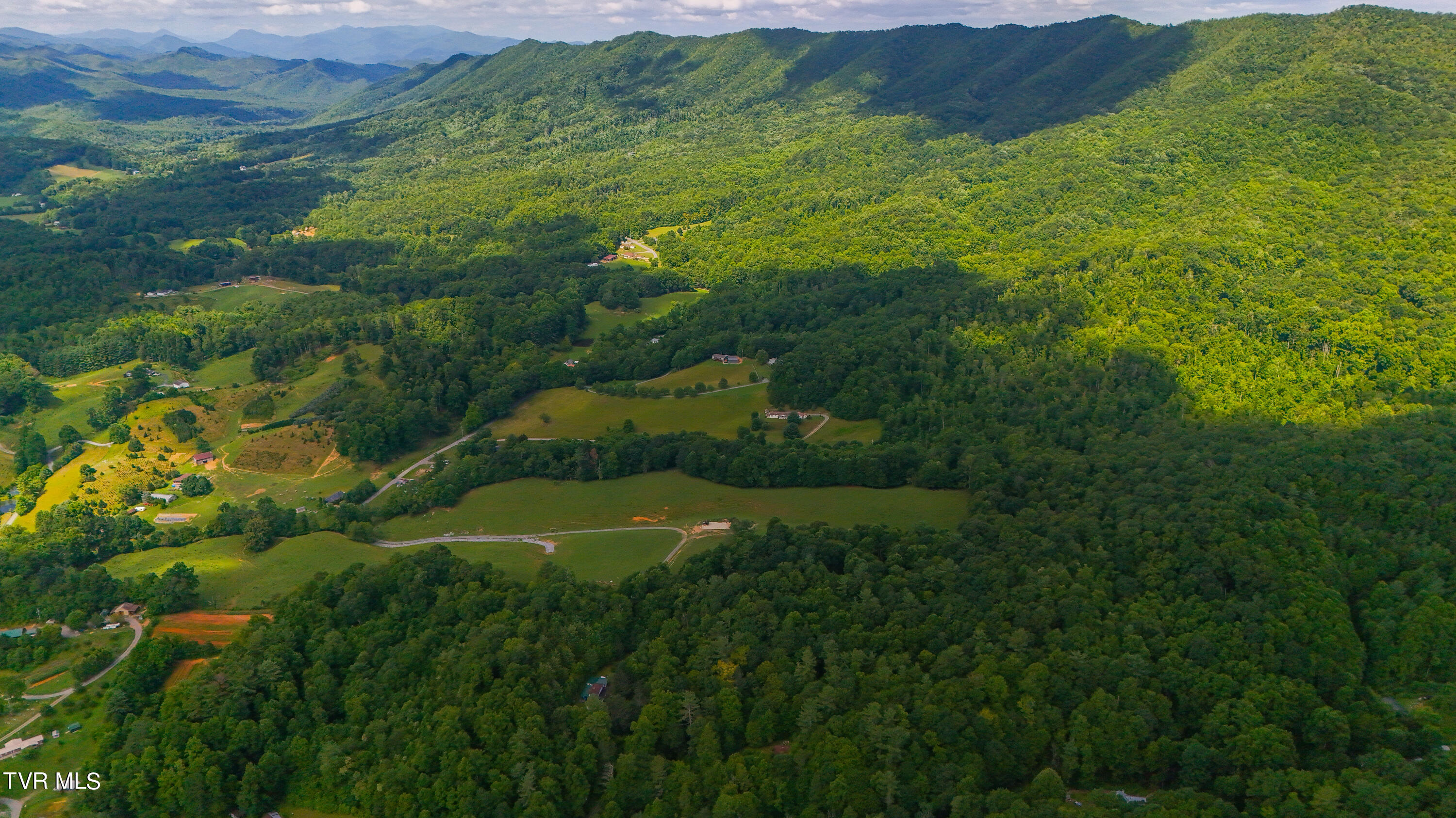 Tbd Piney Grove Road, Unit 8 Unicoi, TN 37692 - Photo 5 of 16 DJI_20240711110822_0871_D