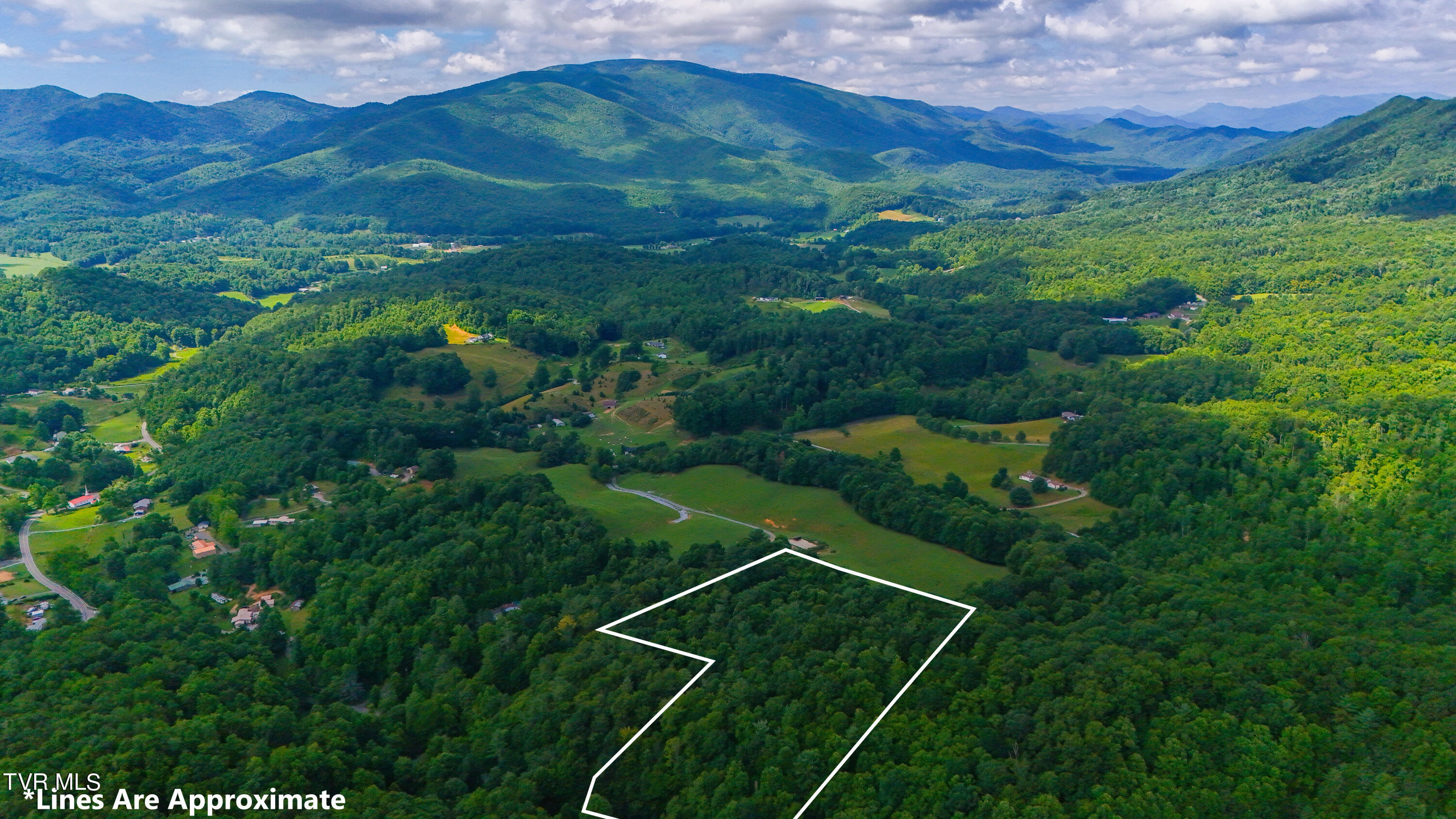 Tbd Piney Grove Road, Unit 8 Unicoi, TN 37692 - Photo 7 of 16 DJI_20240711110937_0873_D