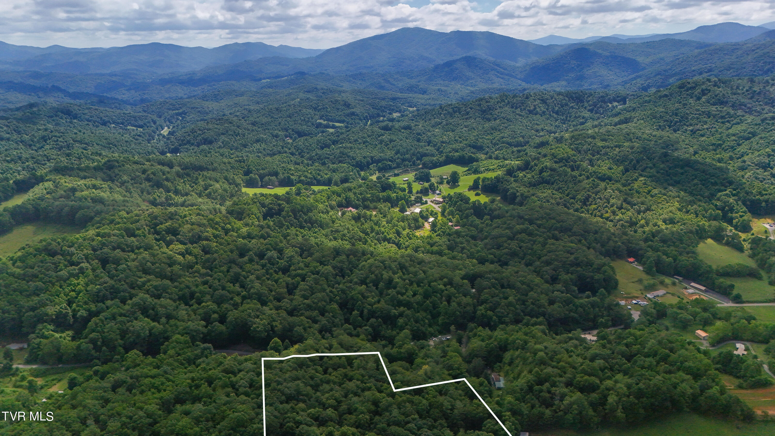 Tbd Piney Grove Road, Unit 8 Unicoi, TN 37692 - Photo 8 of 16 DJI_20240711111136_0876_D