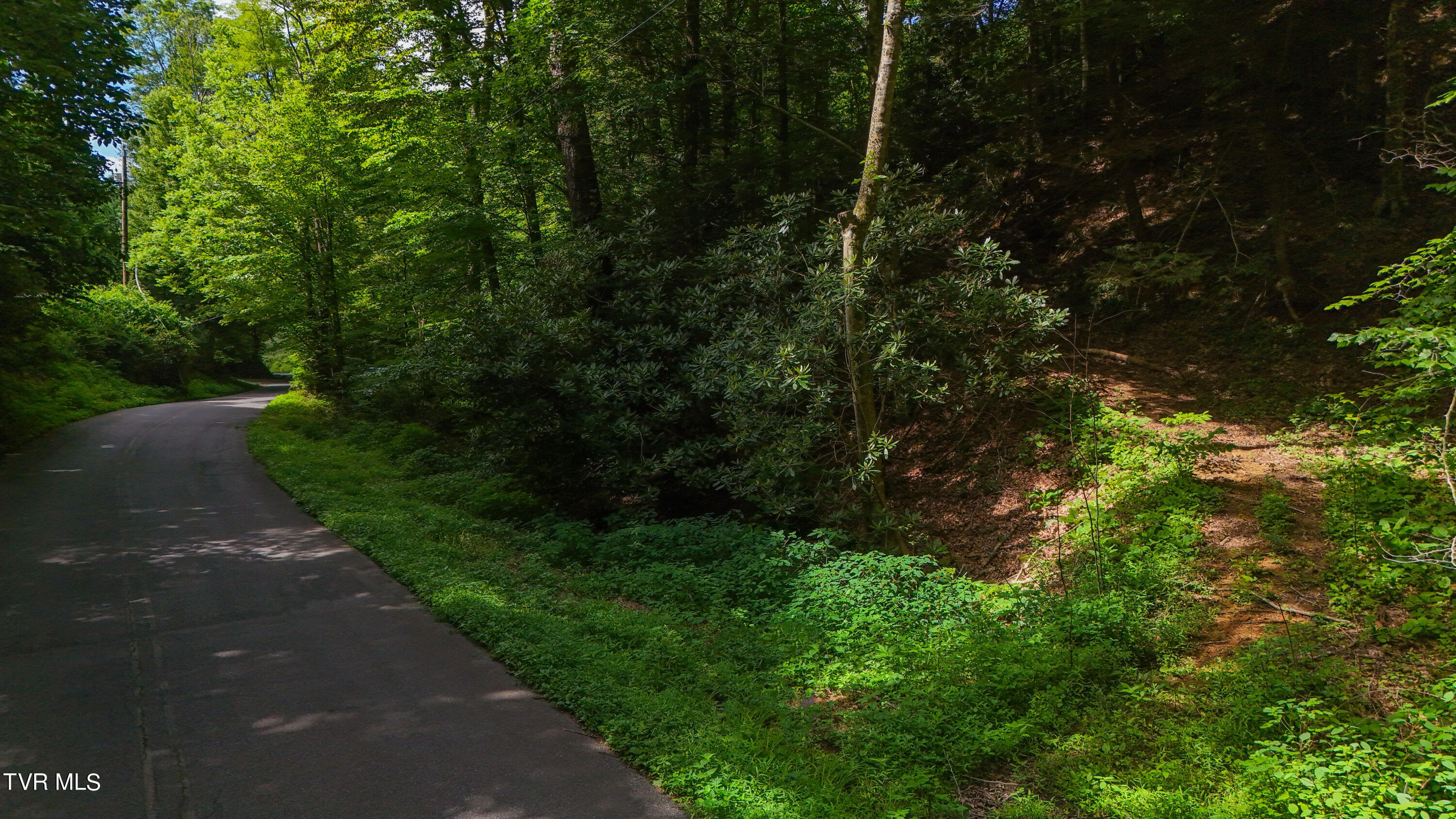 Tbd Piney Grove Road, Unit 8 Unicoi, TN 37692 - Photo 10 of 16 DJI_20240711110510_0869_D2
