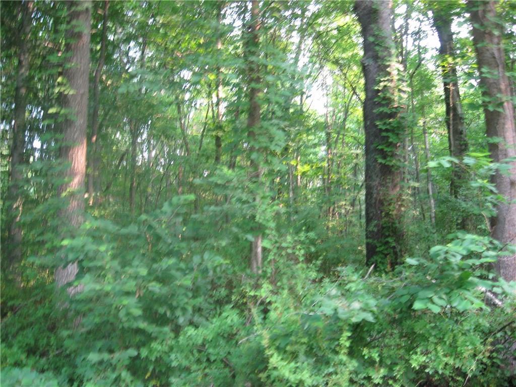 4600 Covered Bridge Road Nashville, IN 47448 - Photo 1 of 2 Gallery Image 1