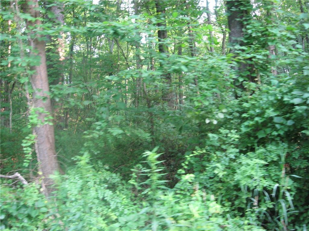 4600 Covered Bridge Road Nashville, IN 47448 - Photo 2 of 2 Gallery Image 2