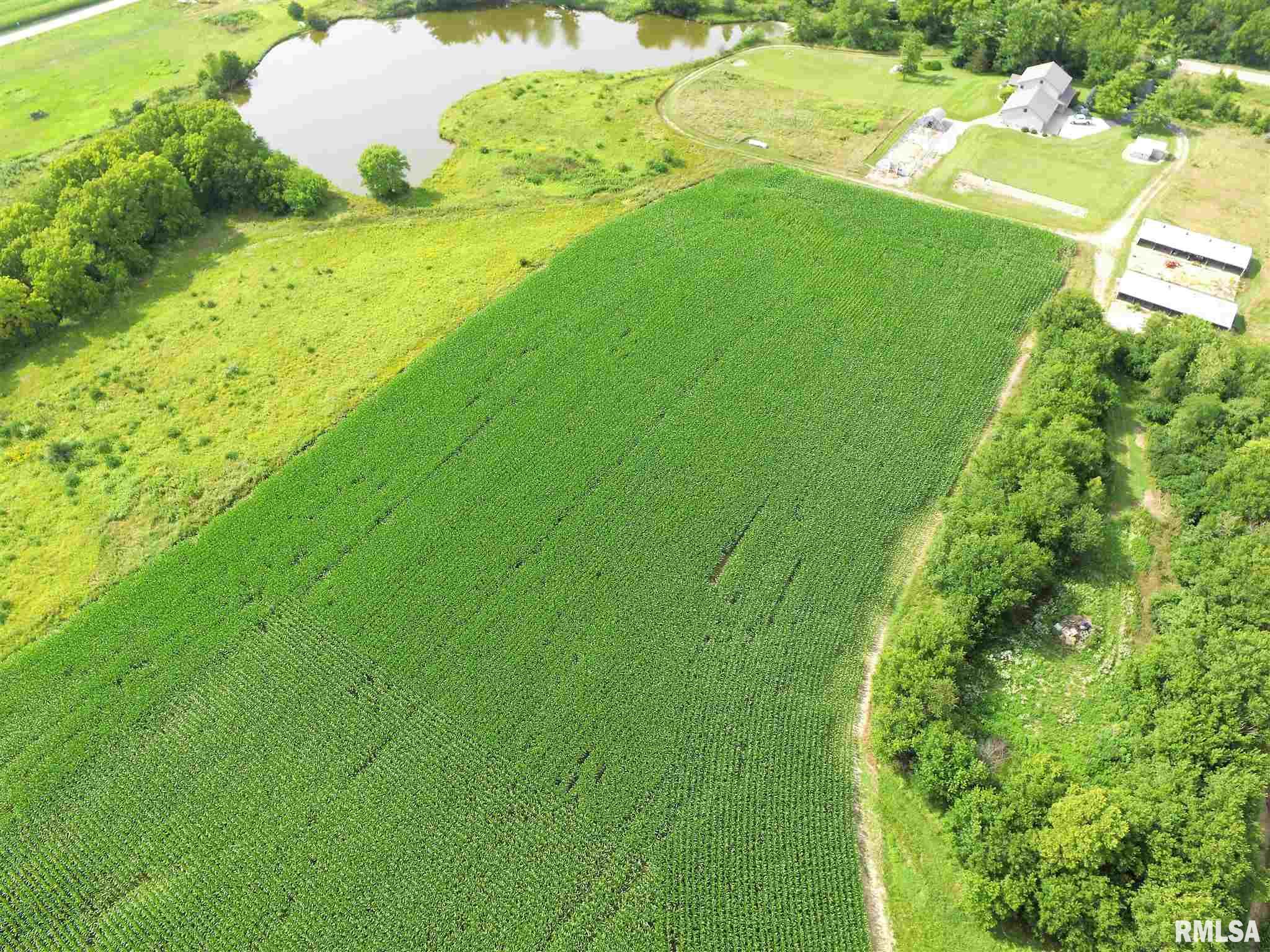 26163 Cooper Road Washington, IL 61571 - Photo 2 of 47 Gallery Image 2