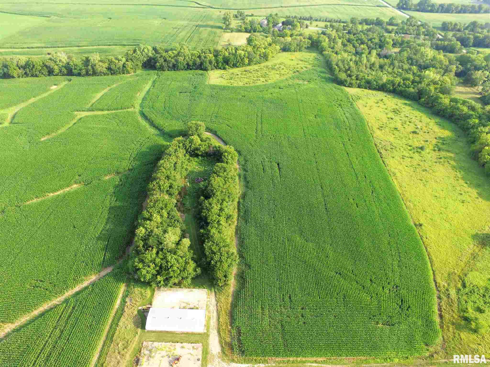 26163 Cooper Road Washington, IL 61571 - Photo 9 of 47 Gallery Image 9