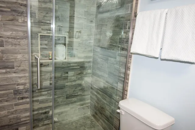 a bathroom with a toilet and a shower