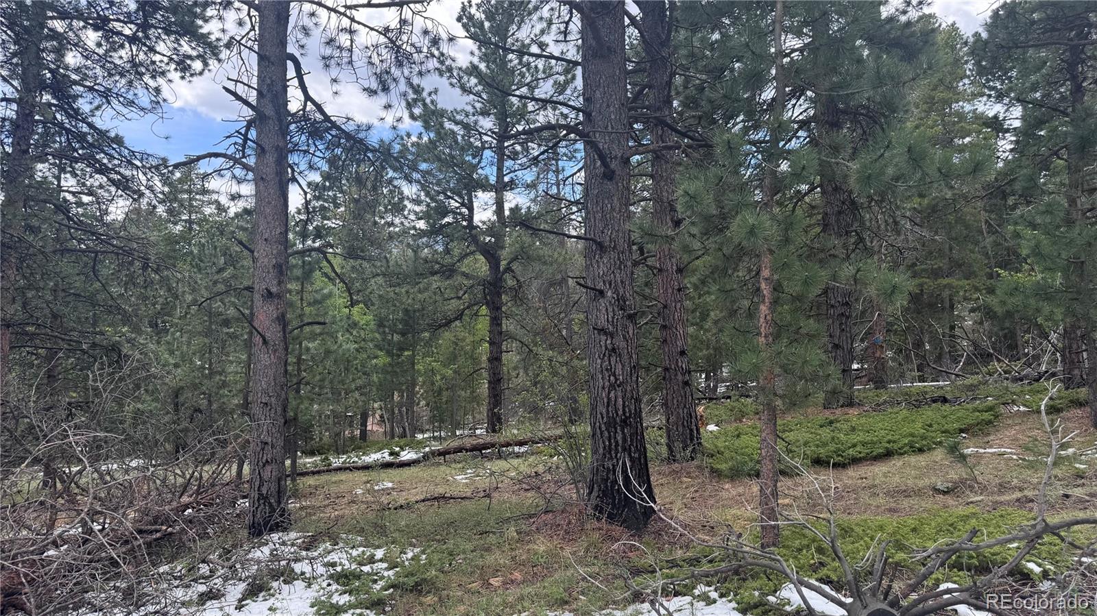 717 Crescent Lake Road Golden, CO 80403 - Photo 14 of 27