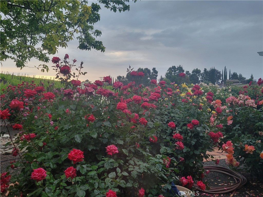 6172 Hawk Ridge Place San Miguel, CA 93451 - Photo 18 of 74