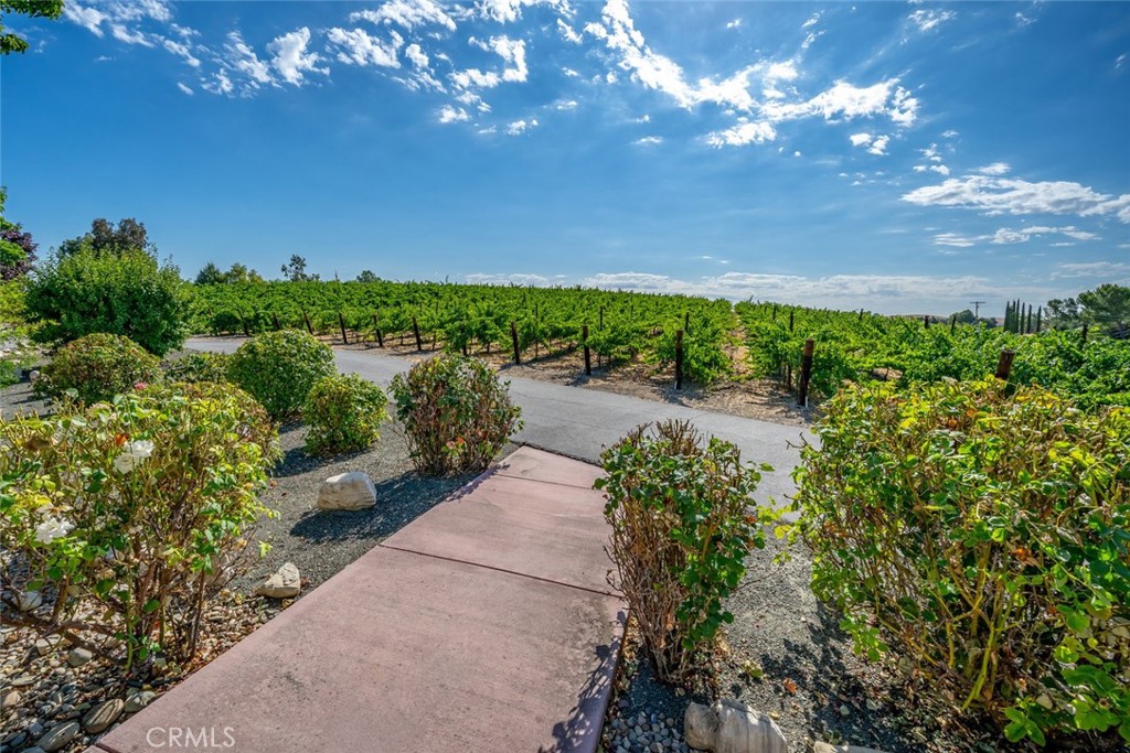 6172 Hawk Ridge Place San Miguel, CA 93451 - Photo 58 of 74 a view of a pathway both side of grassy field with green space