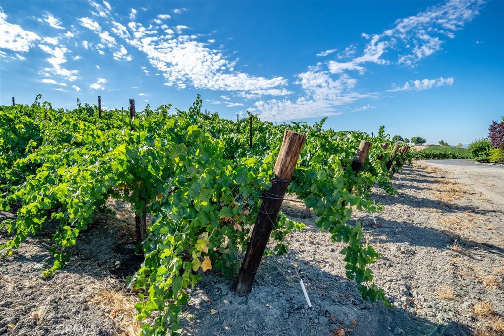 6172 Hawk Ridge Place San Miguel, CA 93451 - Photo 61 of 72