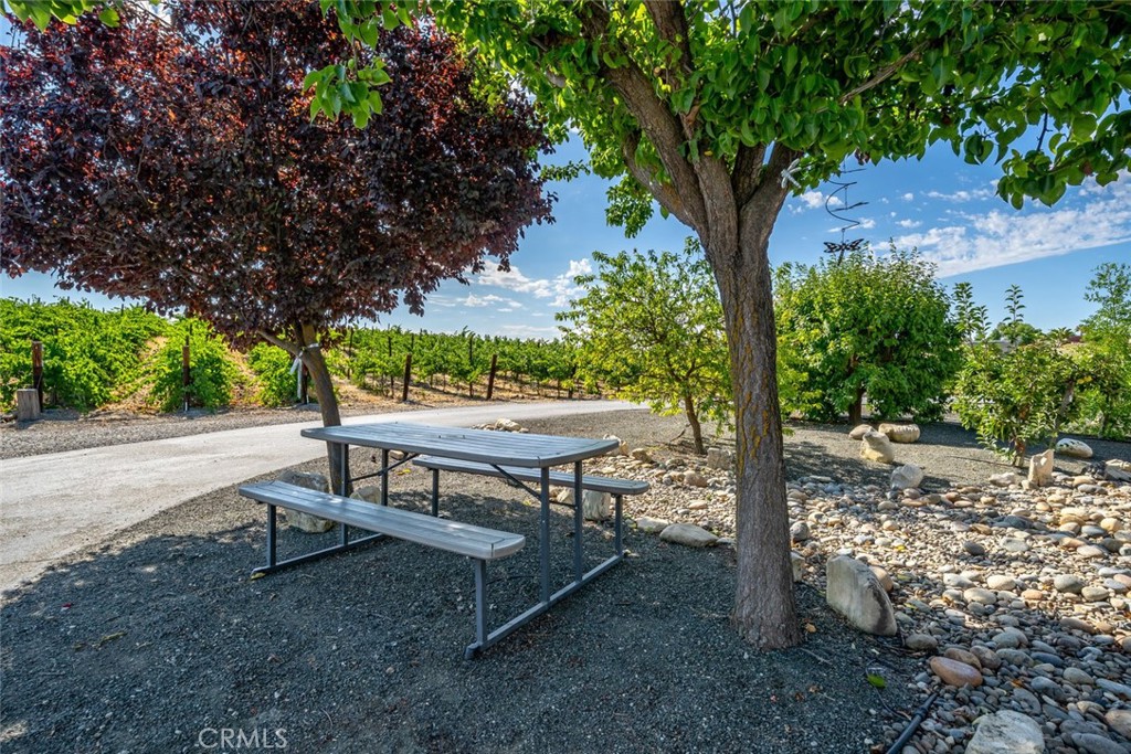 6172 Hawk Ridge Place San Miguel, CA 93451 - Photo 62 of 74 a view of a backyard with a tree
