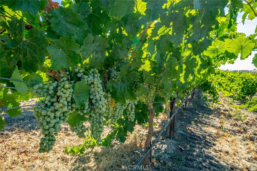 6172 Hawk Ridge Place San Miguel, CA 93451 - Photo 62 of 72